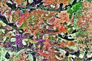 A 93D